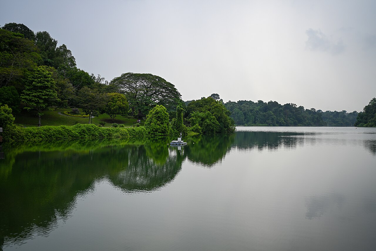 MacRitchie Reservoir and forest edge